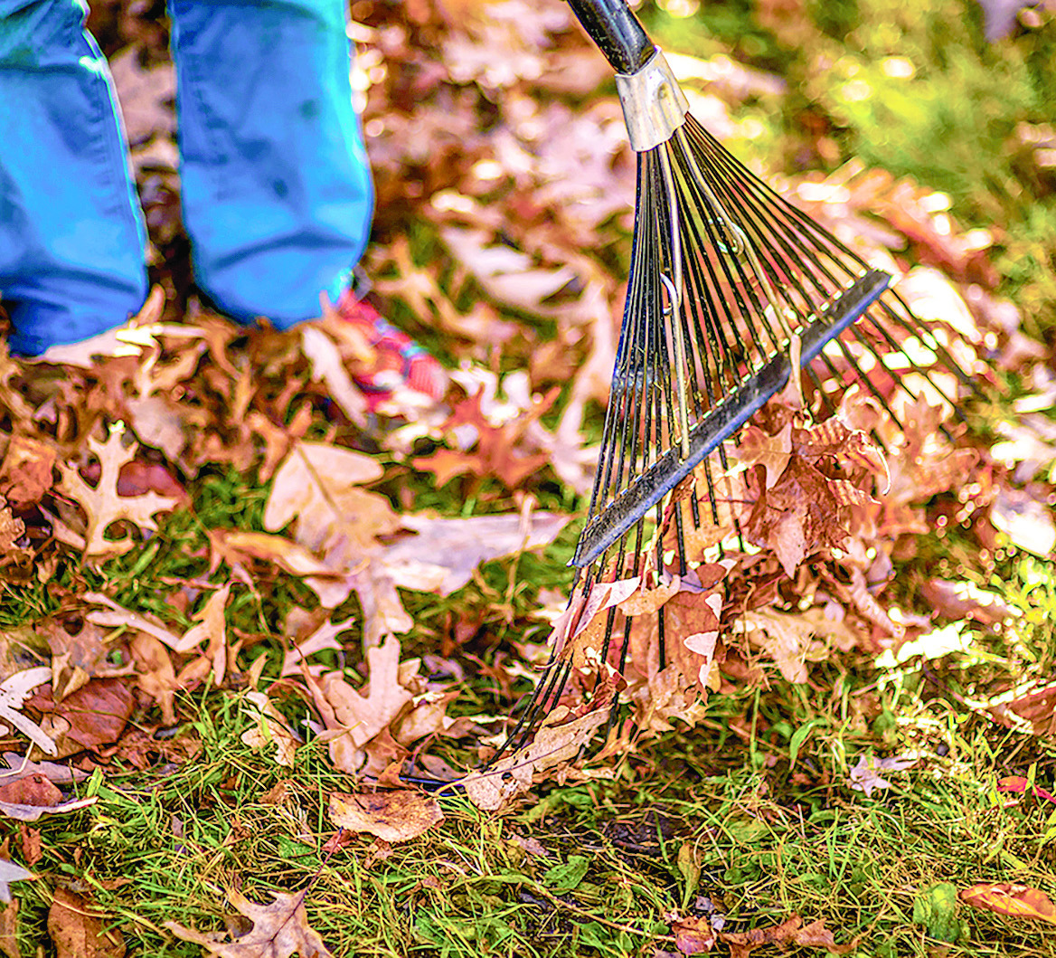 safe-and-effective-ways-to-clean-up-leaves-on-your-property-ruston